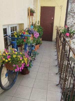 Miodowa Apartment Krakow Luaran gambar